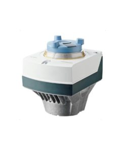 SAL31.00T20